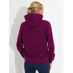 Abacus Lds Banff hoodie