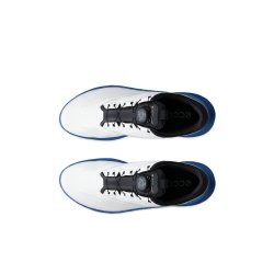 ECCO Golf BIOM C5 BOA GTX - WHITE/FEDERAL BLUE